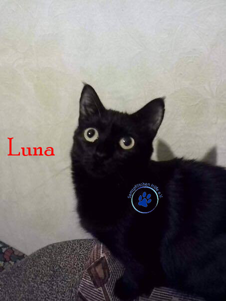 Bilder_Name/201705/Luna24 mit Namen.jpg